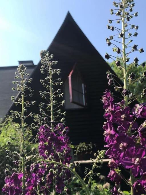 Laengtan Marielund Villa Uppsala Luaran gambar