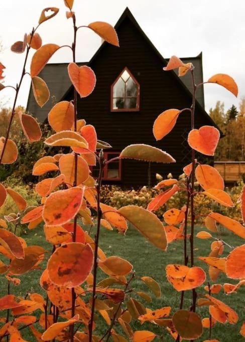 Laengtan Marielund Villa Uppsala Luaran gambar