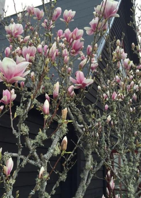Laengtan Marielund Villa Uppsala Luaran gambar